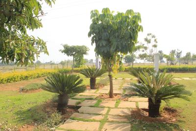 Project Image of 2000.0 - 2400.0 Sq.ft Residential Plot Plot for buy in ESS Nithyanandhasagara Layout