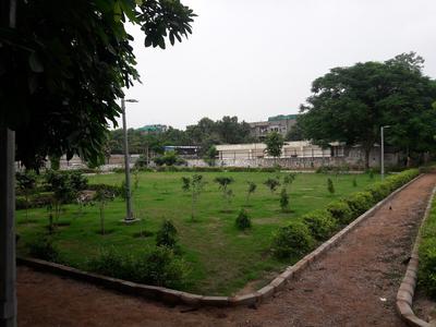 Project Images