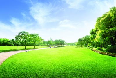 Project Image of 1066.0 - 1581.0 Sq.ft 3 BHK Apartment for buy in Kalpataru Immensa G