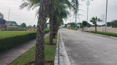 Project Image of 1000.0 - 3200.0 Sq.ft Residential Plot Plot for buy in Signature Park Sector 2 And 3