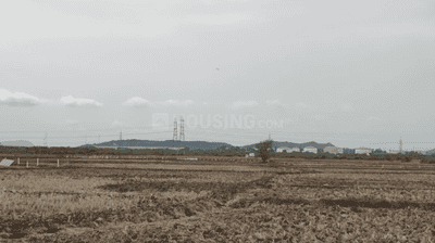 Project Image of 1000.0 - 10000.0 Sq.ft Residential Plot Plot for buy in Avani City Plots In Dronagiri