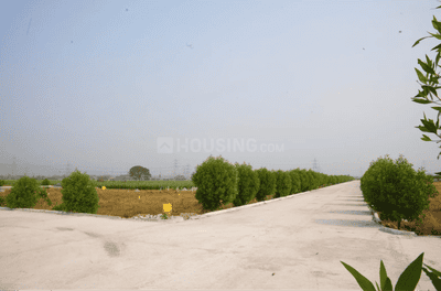 Project Image of 200.42 - 14255.4 Sq.ft Residential Plot Plot for buy in Evergreens Kohinoor