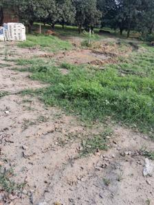 Project Image of 1107.0 - 7200.0 Sq.ft Residential Plot Plot for buy in Yash Vatika