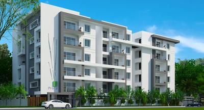 Gallery Cover Pic of Green Prime D