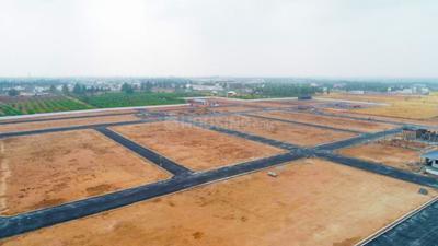 Project Image of 1519.0 - 4176.0 Sq.ft Residential Plot Plot for buy in Royal Avenue