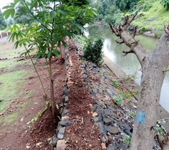Project Image of 1420.0 - 10222.0 Sq.ft Residential Plot Plot for buy in Acreages River Park