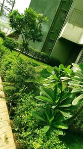 Project Image of 373.83 - 616.66 Sq.ft 1 BHK Apartment for buy in Grow Riverside Greens