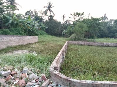 Project Image of 720.0 - 3600.0 Sq.ft Residential Plot Plot for buy in Suchandra Madhuban Land
