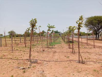 Project Image of 1089.0 - 4590.0 Sq.ft Residential Plot Plot for buy in Sunrise Nature Farms
