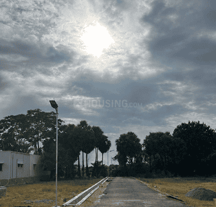 Project Images