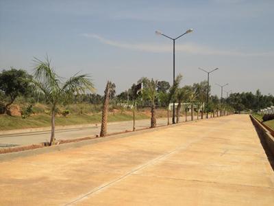 Project Image of 1162.0 - 2324.0 Sq.ft Residential Plot Plot for buy in Confident Canopus 1