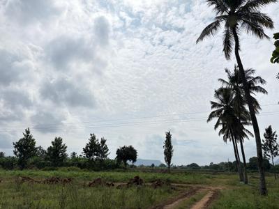 Project Image of 6000.0 - 12000.0 Sq.ft Residential Plot Plot for buy in Navile Farms 