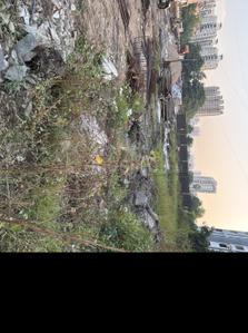 Project Image of 1300 Sq.ft 2 BHK Apartment / Flat for sale in Palanpur for Rs. 5450000