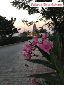 Project Image of 1080.0 - 9000.0 Sq.ft 2 BHK Villa for buy in Davda Bellevue Vieraaa