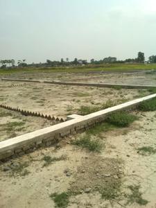 Singh Tashi Elevation 2