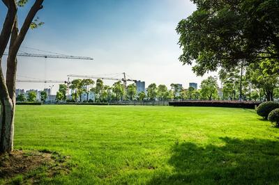 Project Image of 1334.72 - 3539.17 Sq.ft Residential Plot Plot for buy in Aratt Escapes