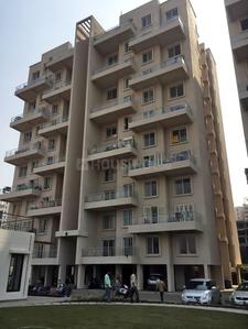Gallery Cover Pic of Alcon Signare C