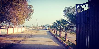 Project Image of 1000.0 - 2700.0 Sq.ft Residential Plot Plot for buy in Surya Vihar Phase IV