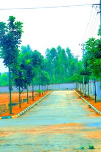 Project Image of 1200.0 - 1500.0 Sq.ft Residential Plot Plot for buy in Prime City