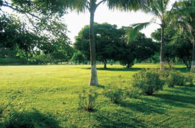Project Image of 1350.0 - 1710.0 Sq.ft 2 BHK Apartment for buy in Ozone Aangan