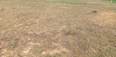 Project Image of 1200.0 - 1925.0 Sq.ft Residential Plot Plot for buy in Redbrick Empire