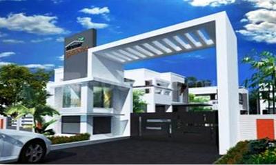 Project Images