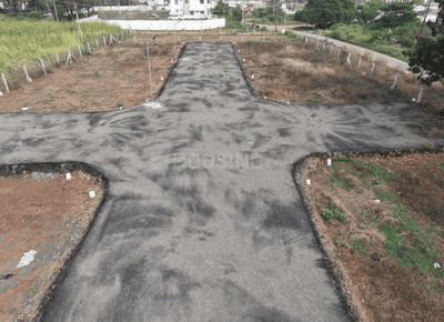 Project Images