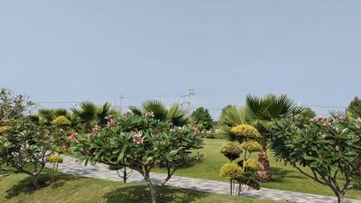 Project Image of 750.0 - 1800.0 Sq.ft Residential Plot Plot for buy in Godha Estate