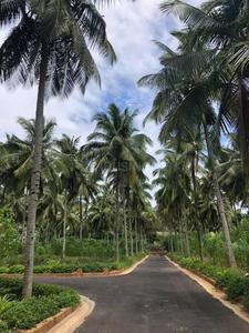 Project Image of 1000.0 - 5663.0 Sq.ft Residential Plot Plot for buy in ABI Maayya
