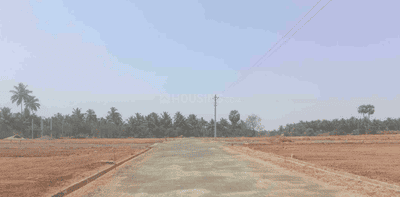 Project Images