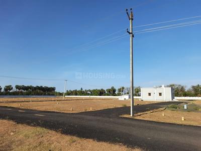 Project Image of 540.0 - 1200.0 Sq.ft Residential Plot Plot for buy in Collector Nagar Phase 1