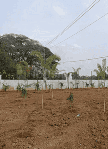 Project Image of 1127.11 - 2241.69 Sq.ft Residential Plot Plot for buy in Falcon Sun And Serenity