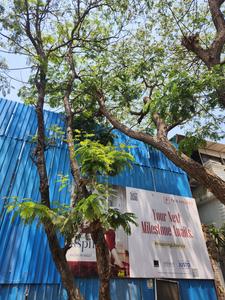Project Image of 467.0 - 1441.0 Sq.ft 1 BHK Apartment for buy in Paranjape Aspire