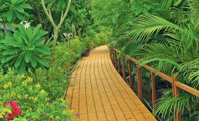 Project Image of 5000.0 - 40000.0 Sq.ft Residential Plot Plot for buy in Royal Purandar