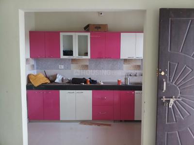 Project Images