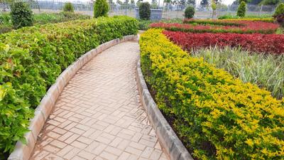 Project Image of 1200.0 - 2400.0 Sq.ft Residential Plot Plot for buy in Sirimane Serenity