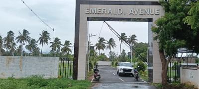 Project Image of 654.0 - 3007.0 Sq.ft Residential Plot Plot for buy in Dream Emerald Avenue