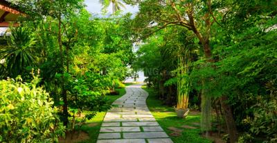 Project Image of 0.0 - 11250.0 Sq.ft Agricultural Land Agricultural Land for buy in Royal The Lake View Farm