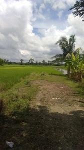 Project Image of 1440.0 - 7200.0 Sq.ft Residential Plot Plot for buy in Bengal Hotar Housing And MSME Hub
