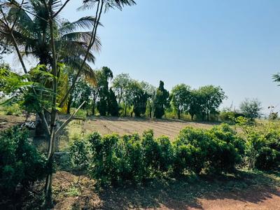 Gallery Cover Pic of Paridhi Nidhivan Farm