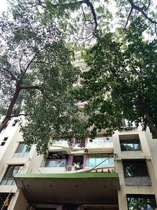 Veena Laya Images for Project 1