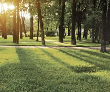 Project Image of 648.0 - 1015.0 Sq.ft 2 BHK Apartment for buy in Rohan Madhuban II