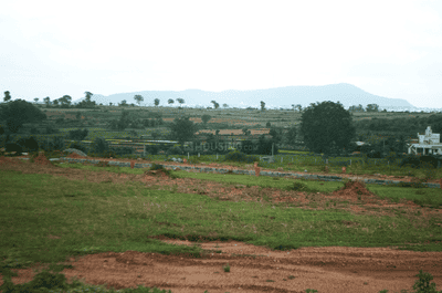 Project Image of 1098.35 - 3373.73 Sq.ft Residential Plot Plot for buy in Flamingo Royal Splendor Phase 2