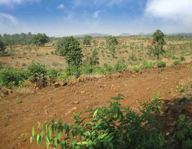 Project Image of 0.0 - 2200.0 Sq.ft Residential Plot Plot for buy in Disha Wellness City