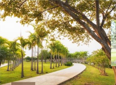 Project Image of 1200.0 - 1800.0 Sq.ft Residential Plot Plot for buy in DivyaSree Whispers of the Wind
