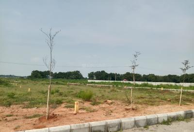 Project Image of 1503.0 - 4500.0 Sq.ft Residential Plot Plot for buy in Green Meadows
