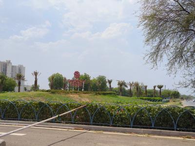 Project Image of 620.0 - 1693.38 Sq.ft Residential Plot Plot for buy in DLF Gardencity Central