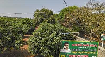 Vision Aashritha Mango Garden Plot 3