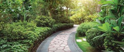 Project Image of 622.0 - 3397.0 Sq.ft Residential Plot Plot for buy in Sobha Conserve