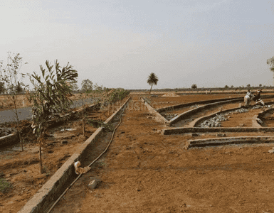 Project Image of 590.4 - 6335.96 Sq.ft Residential Plot Plot for buy in Aranya City Of Woodland Pacheda